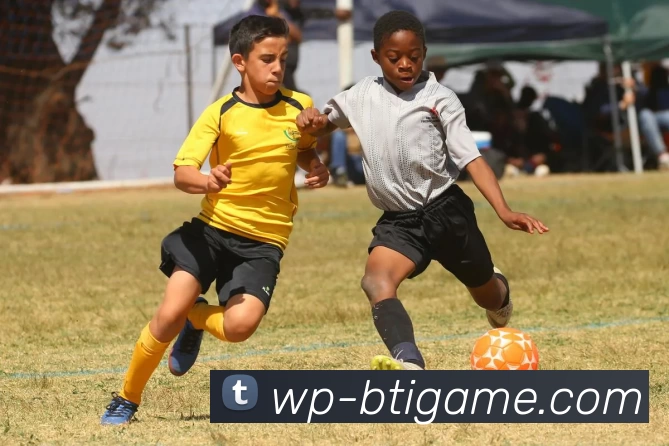 App Interface Preview